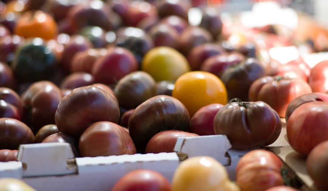 Meet the Heirloom Tomato