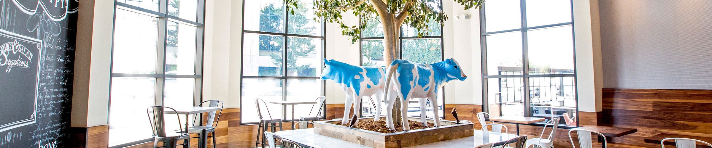 Sherman Oaks Mendocino Farms Farm Fresh Restaurant