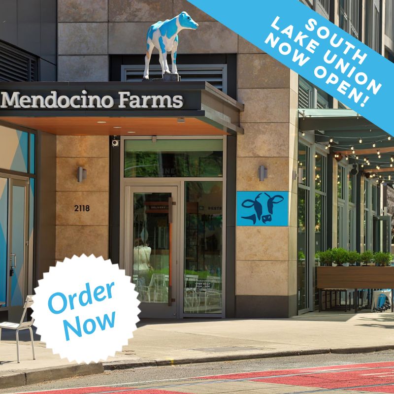 Now Open in South Lake Union